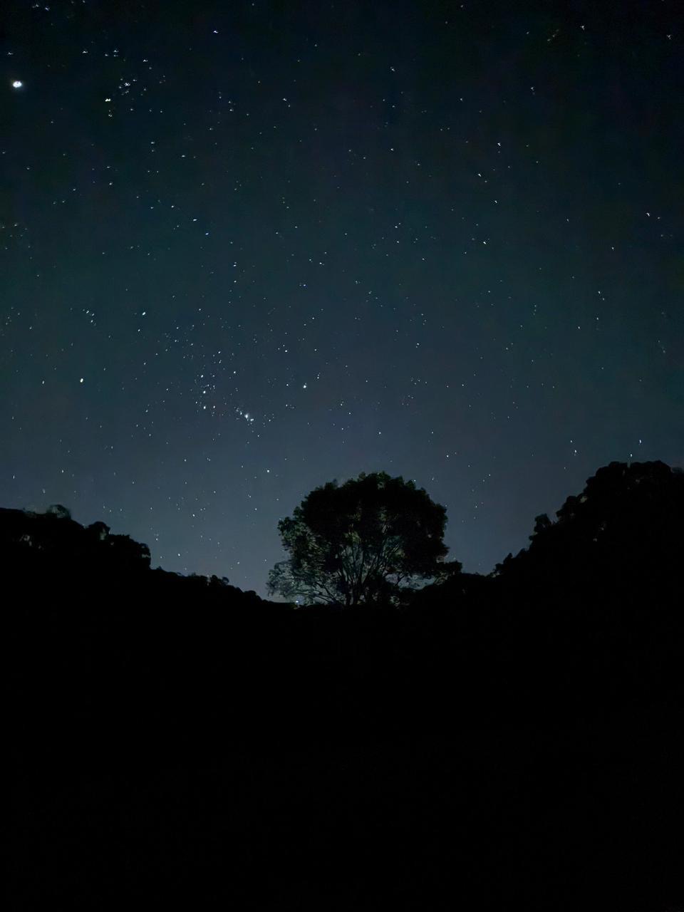 Cielo estrellado nocturno sobre el bosque de Temascaltepec