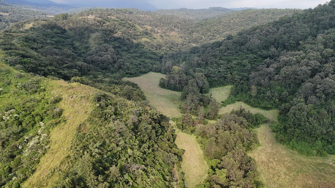 Vista aérea del cañón de Tierra Nueva en Temascaltepec