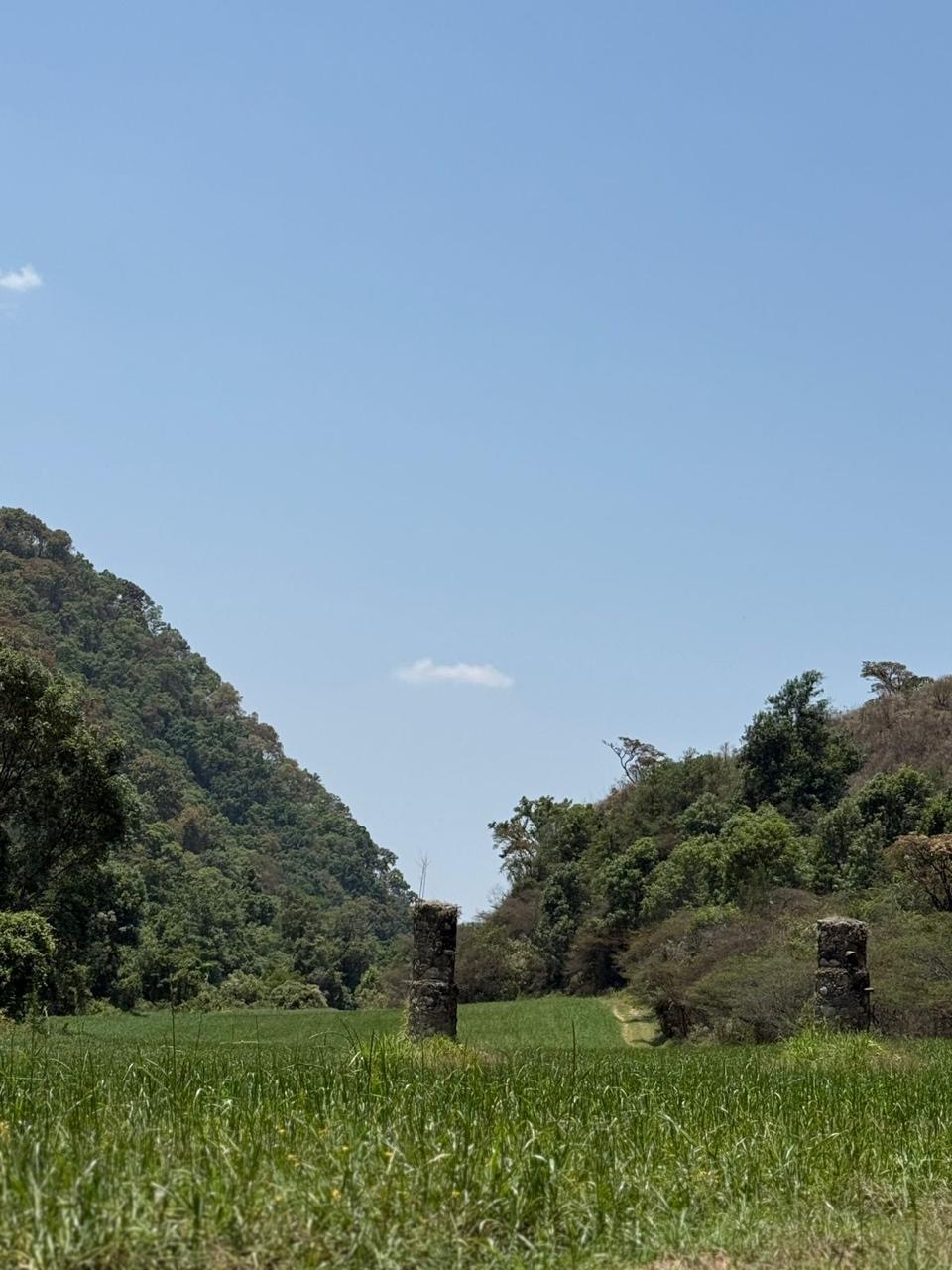 Ruinas en la pradera